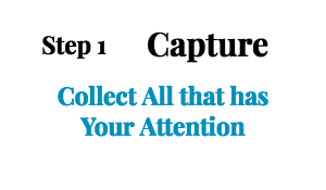 Step 1 Capture